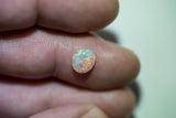 Crystal Opal Lightning Ridge natural solid 1.07ct Australian gem COSA290817 - Black Opal Shop
