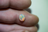 Crystal Opal Lightning Ridge natural solid 1.07ct Australian gem COSA290817 - Black Opal Shop